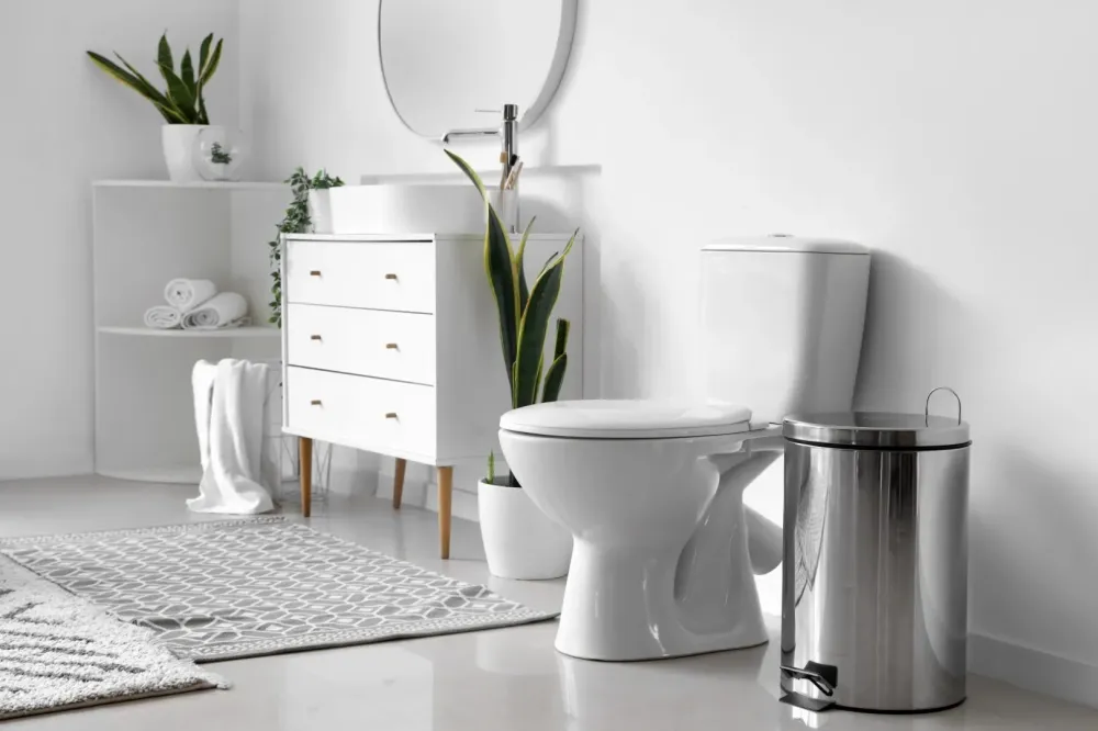 Pose de sanitaires à Jouhet